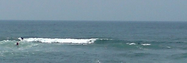 F1000005.JPG - 18,167BYTES