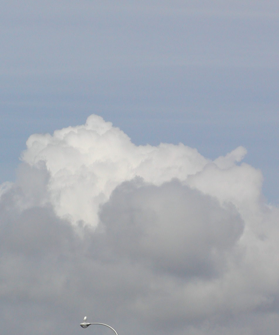 PA10116.JPG - 67,094BYTES