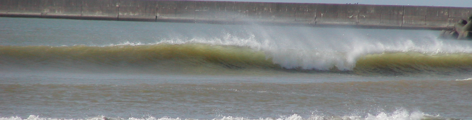 PA90072.JPG - 136,890BYTES